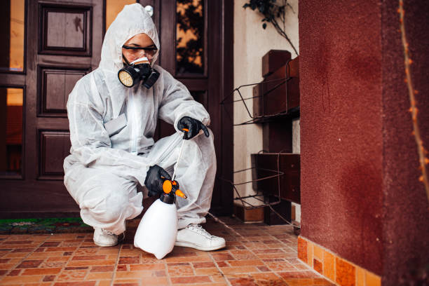 Reliable Cockroach Control contractor in Jefferson, GA by Nex Pest Control